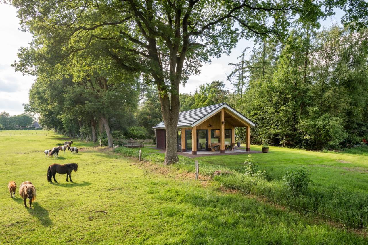 Nutter Bungalowpark Bij De Bronnen מראה חיצוני תמונה