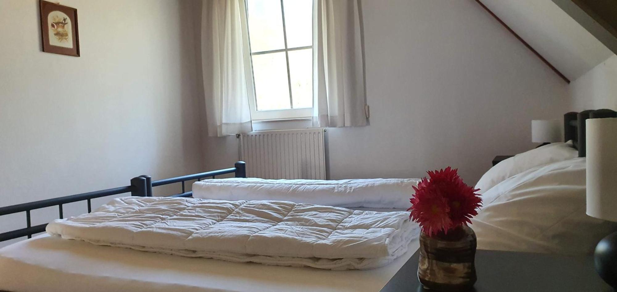 Nutter Bungalowpark Bij De Bronnen מראה חיצוני תמונה